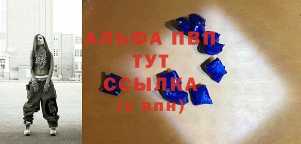 гидра Каменногорск