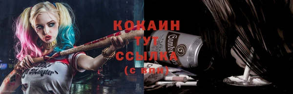 гидра Каменногорск