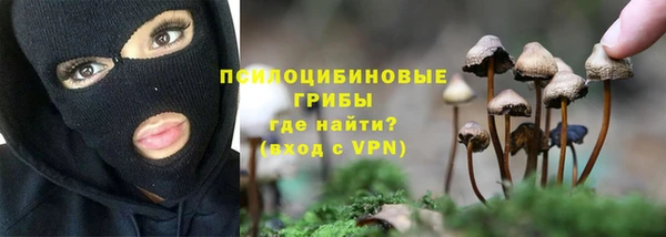 экстази Каменка