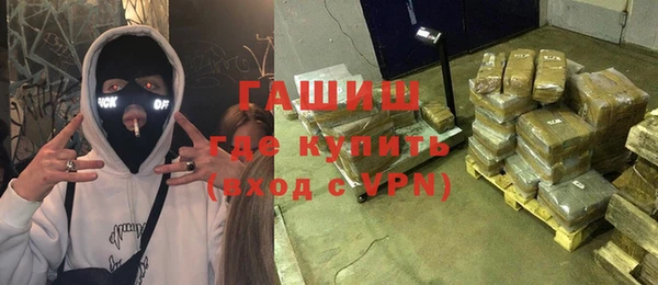 гидра Каменногорск