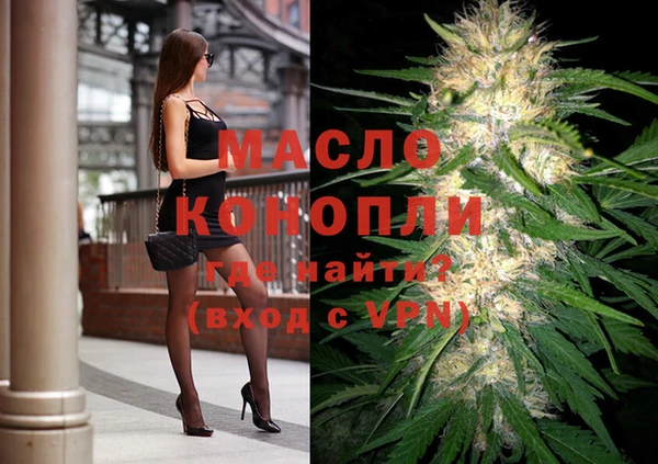 гидра Каменногорск