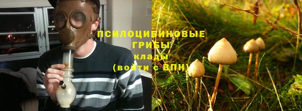 гидра Каменногорск