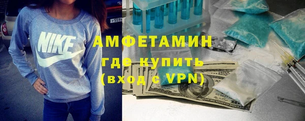 гидра Каменногорск