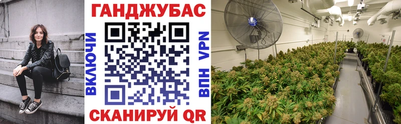 Купить где  Менделеевск  МАРИХУАНА MAZAR 